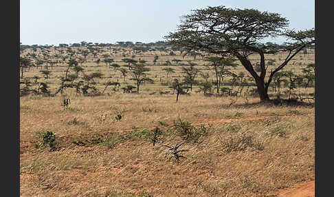 Aethiopien (Ethiopia)