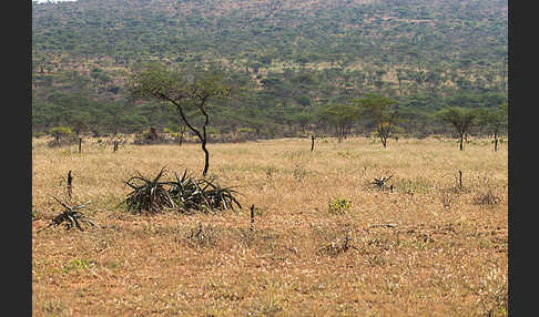 Aethiopien (Ethiopia)