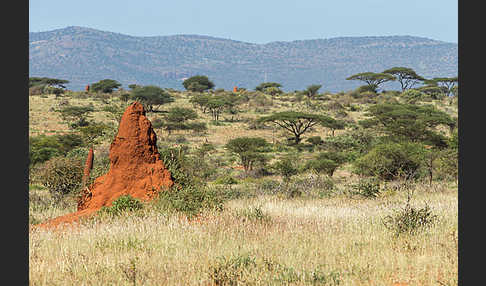 Aethiopien (Ethiopia)