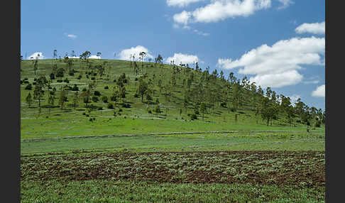 Aethiopien (Ethiopia)