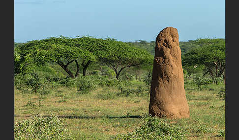 Aethiopien (Ethiopia)