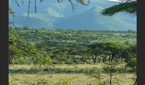 Aethiopien (Ethiopia)