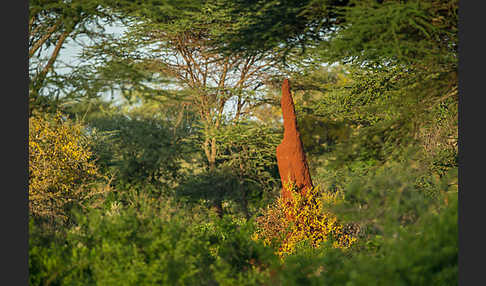 Aethiopien (Ethiopia)