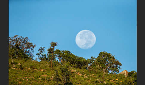 Aethiopien (Ethiopia)