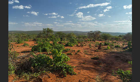 Aethiopien (Ethiopia)