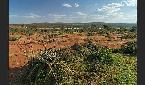 Aethiopien (Ethiopia)