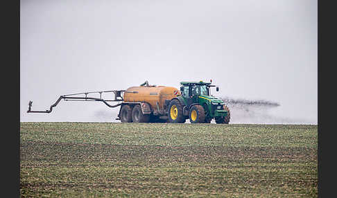 Intensive Landwirtschaft (industrial agriculture)