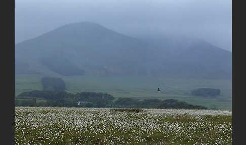 Schottland (Scotland)