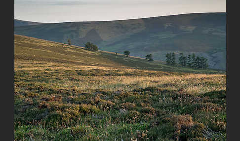 Schottland (Scotland)