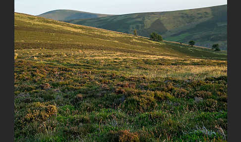 Schottland (Scotland)