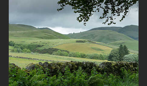 Schottland (Scotland)