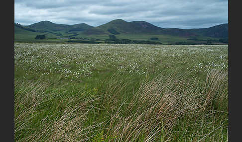 Schottland (Scotland)