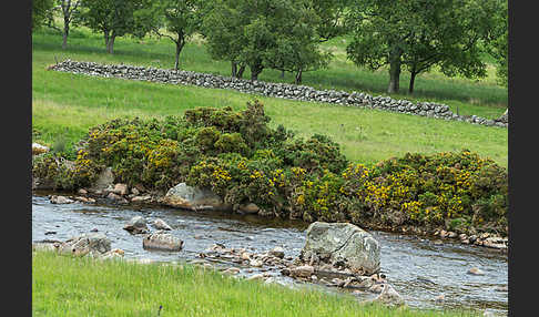 Schottland (Scotland)