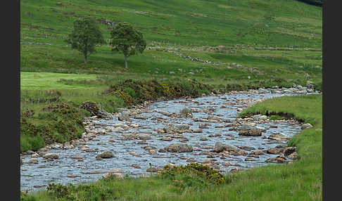 Schottland (Scotland)