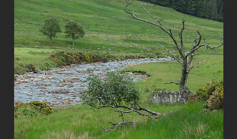 Schottland (Scotland)