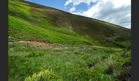 Schottland (Scotland)