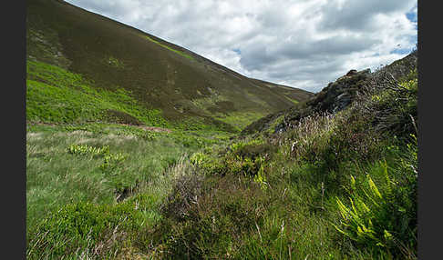 Schottland (Scotland)