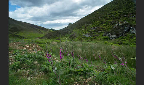 Schottland (Scotland)