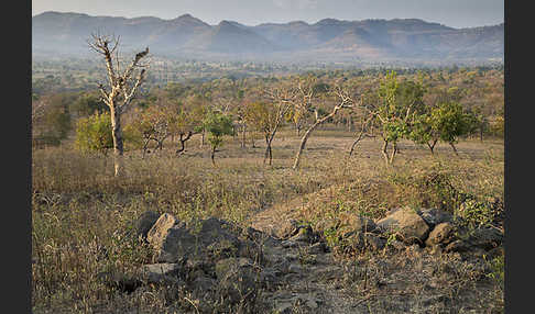 Aethiopien (Ethiopia)