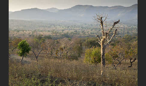 Aethiopien (Ethiopia)