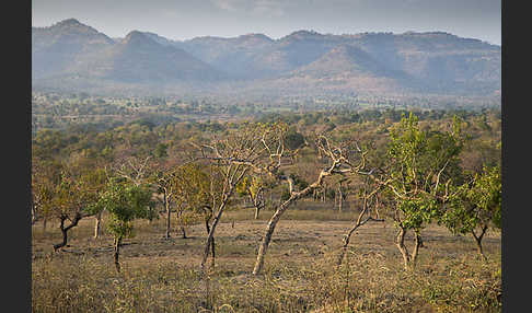 Aethiopien (Ethiopia)