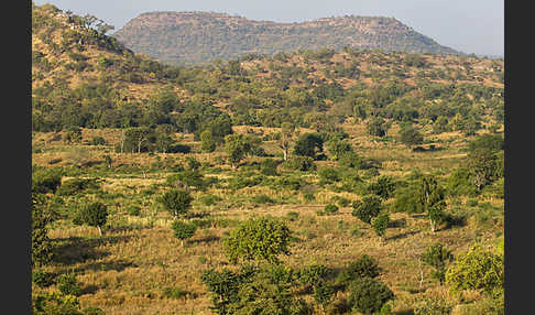 Aethiopien (Ethiopia)