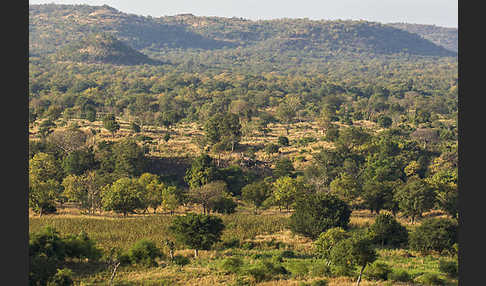 Aethiopien (Ethiopia)