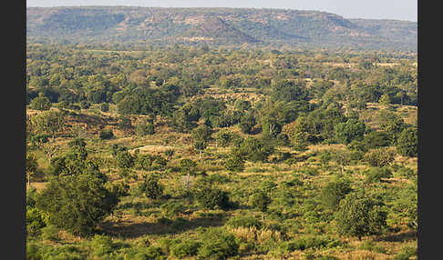 Aethiopien (Ethiopia)