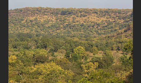 Aethiopien (Ethiopia)