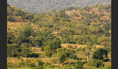 Aethiopien (Ethiopia)