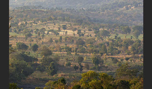 Aethiopien (Ethiopia)