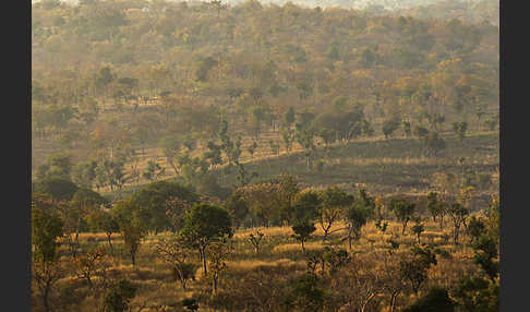 Aethiopien (Ethiopia)