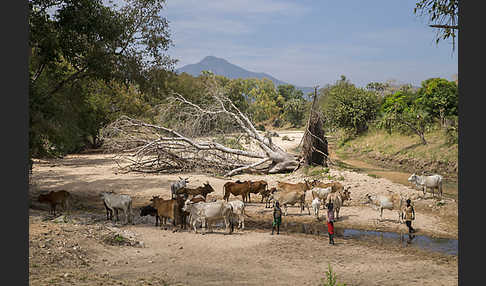 Aethiopien (Ethiopia)