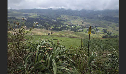 Aethiopien (Ethiopia)