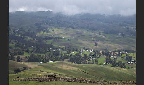 Aethiopien (Ethiopia)