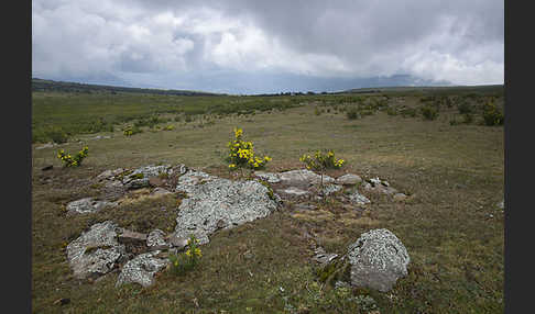 Aethiopien (Ethiopia)