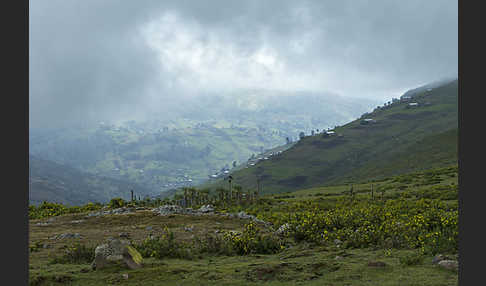 Aethiopien (Ethiopia)