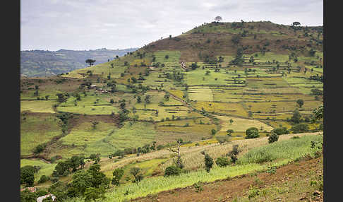 Aethiopien (Ethiopia)