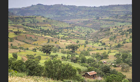 Aethiopien (Ethiopia)