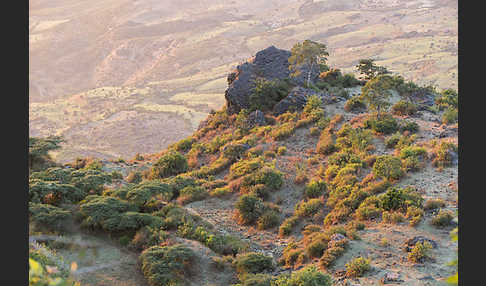 Aethiopien (Ethiopia)