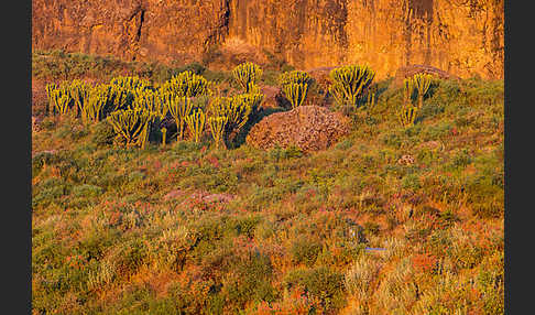 Aethiopien (Ethiopia)