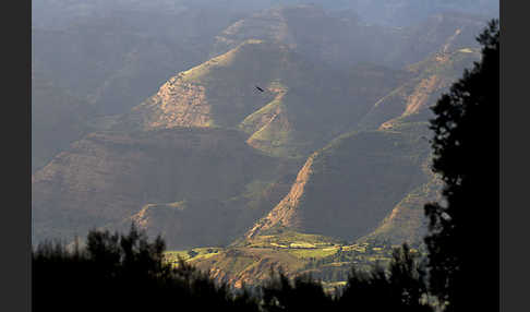 Aethiopien (Ethiopia)