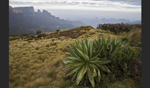 Aethiopien (Ethiopia)