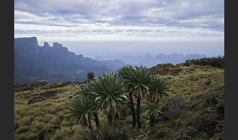 Aethiopien (Ethiopia)