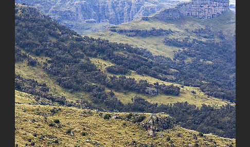 Aethiopien (Ethiopia)