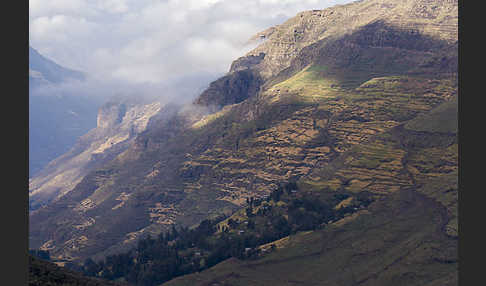 Aethiopien (Ethiopia)
