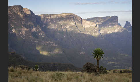 Aethiopien (Ethiopia)