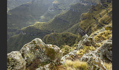 Aethiopien (Ethiopia)