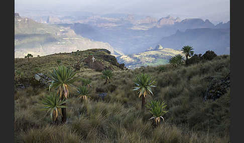 Aethiopien (Ethiopia)