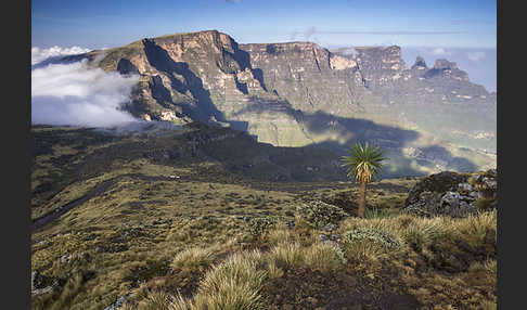 Aethiopien (Ethiopia)